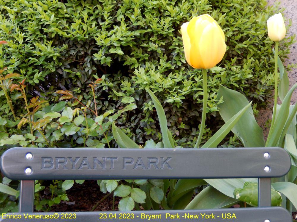 146 - Bryant park.jpg